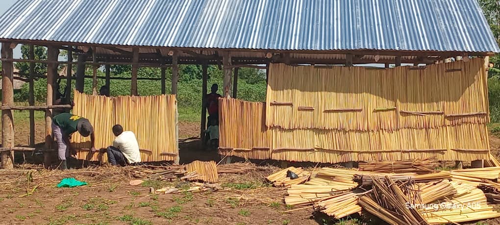 Installing Wall Thatching